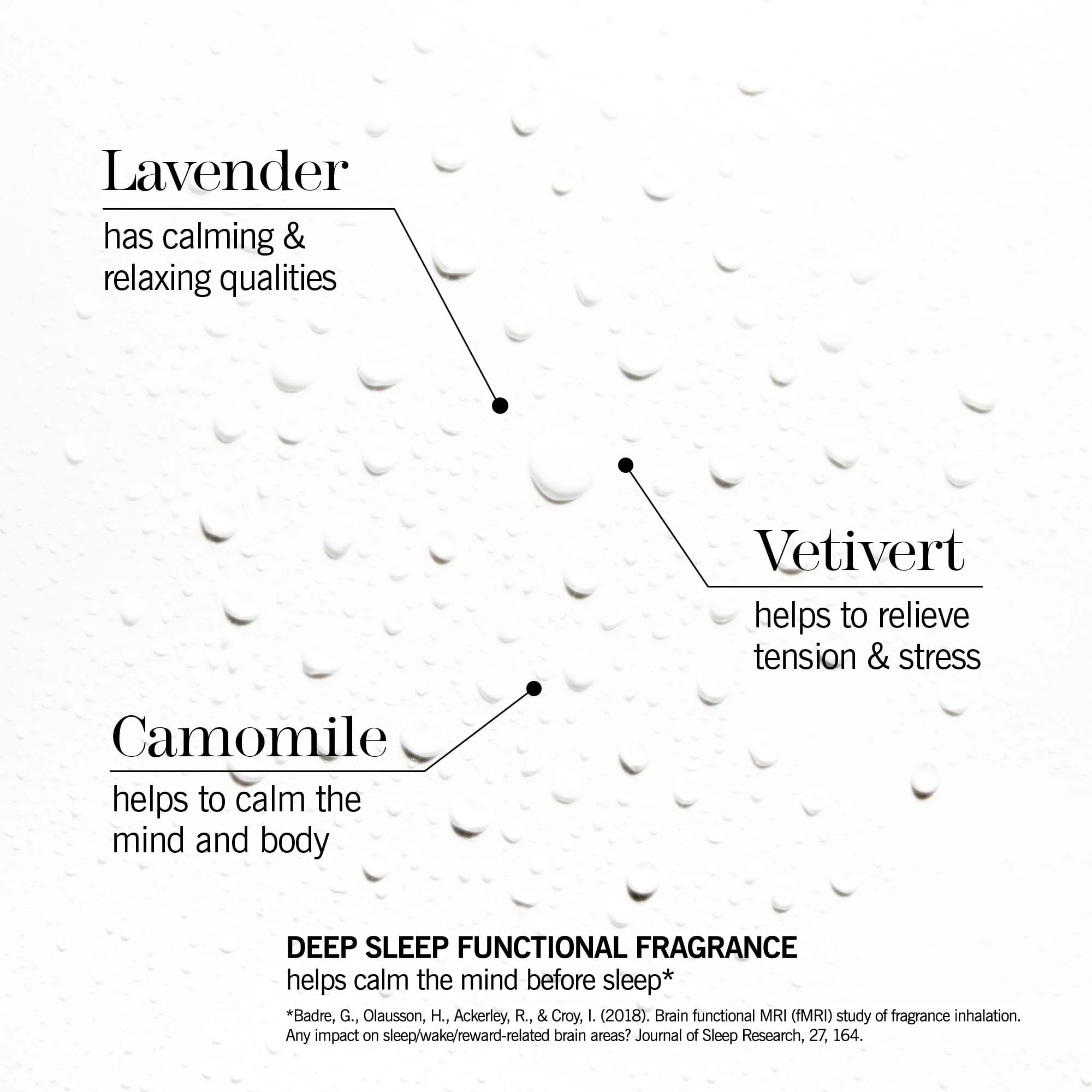 sleep club - Image 4