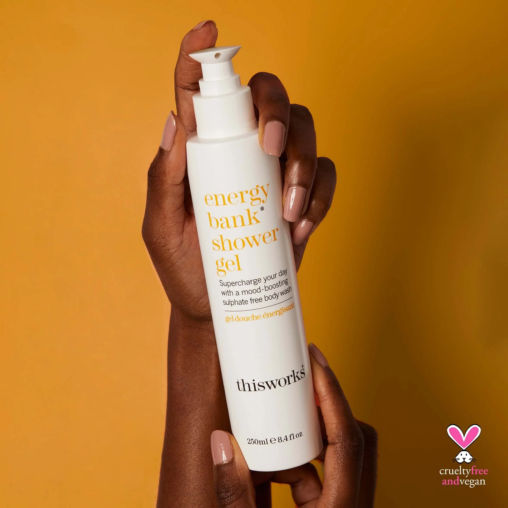 the morning collection - Image 4